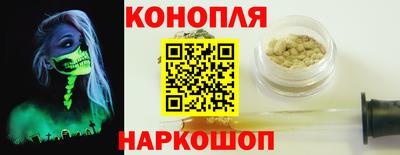 гидра Заводоуковск