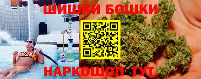 индика Заволжье