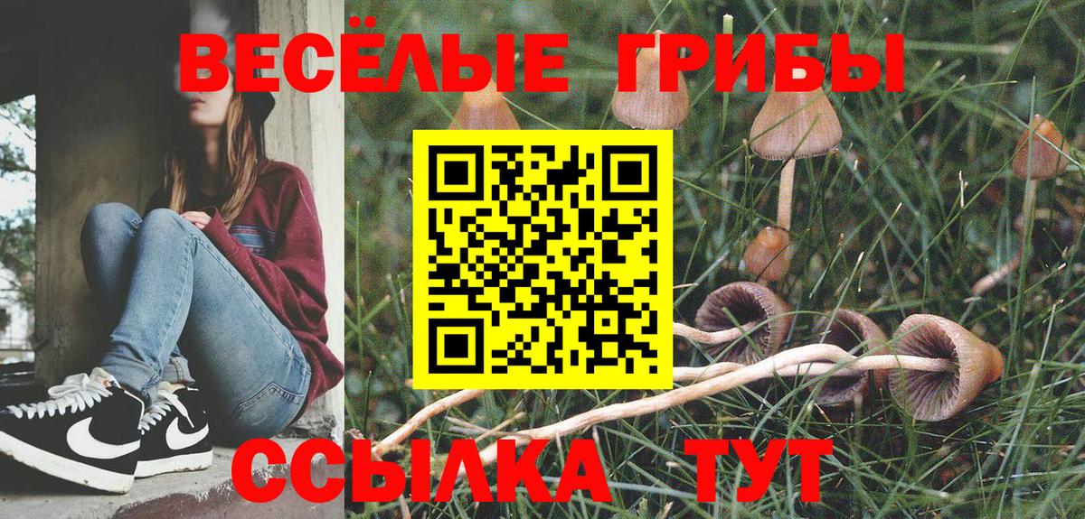 Галлюциногенные грибы прущие грибы  Галлюциногенные грибы мухоморы  Вход с VPN  Иваново 