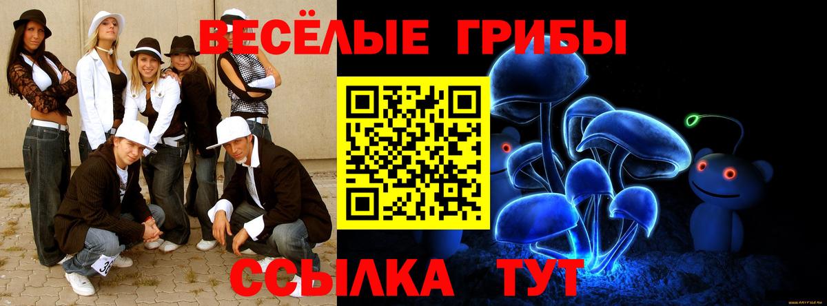 Псилоцибиновые грибы мицелий Иваново